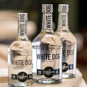 666 - THE NUMBER OF THE...WHITE DOG?!
